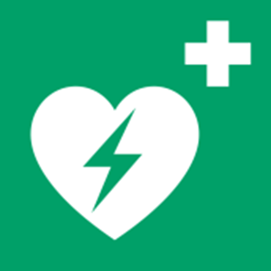Picture of E010 - DEFIBRILATOR